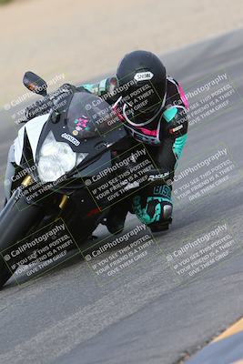 media/Jan-19-2024-Apex Assassins-CVMA Friday (Fri) [[74e94f2102]]/Trackday 1/Session 4 (Turn 6 Inside)/